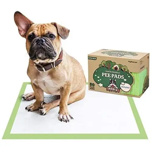 Pogis Training Pads (50-Count) (24x24in) - Large, Super-Absorbent, Earth-Friendly Puppy Training Pads for Small to Large Sized Dogs