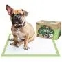 Pogis Training Pads (50-Count) (24x24in) - Large, Super-Absorbent, Earth-Friendly Puppy Training Pads for Small to Large Sized Dogs