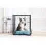Precision Pet Precision Pet