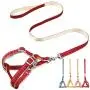 Jecikelon Safety Dog Harness and Leash Set for Daily Outdoor Walking Running Training Classic Lattice Adjustable Harness and Dog Harness Jecikelon Safety Dog Harness and Leash Set for Daily Outdoor Walking Running Training Classic Lattice Adjustable Harness and Dog Harness