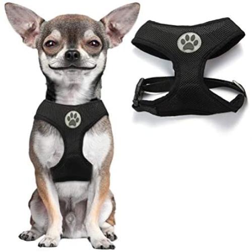 BINGPET Soft Mesh Dog Harness Pet Walking Vest Puppy Padded Harnesses Adjustable