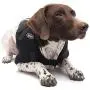 Caldera International Caldera Pet Therapy Shoulder Wrap with Gel, Medium, Black (PET201) Caldera International Caldera Pet Therapy Shoulder Wrap with Gel, Medium, Black (PET201)
