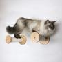 Wall Cat Scratching Post, Cat Scratcher Tree,cat Shelf Cat Wall Perch Sisal Rope for Cat Scratcher Cat Climber Wall Cat Furniture Cat Bed Cat Tower Wall Cat Toy, Wood