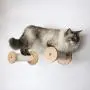 Wall Cat Scratching Post, Cat Scratcher Tree,cat Shelf Cat Wall Perch Sisal Rope for Cat Scratcher Cat Climber Wall Cat Furniture Cat Bed Cat Tower Wall Cat Toy, Wood Wall Cat Scratching Post, Cat Scratcher Tree,cat Shelf Cat Wall Perch Sisal Rope for Cat Scratcher Cat Climber Wall Cat Furniture Cat Bed Cat Tower Wall Cat Toy, Wood