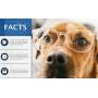 American Kennel Club AKC Training Pads AKC 63860, ''22'''' x 22'''' - pack of 150''