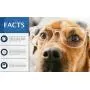 American Kennel Club AKC Training Pads AKC 63860, ''22'''' x 22'''' - pack of 150''