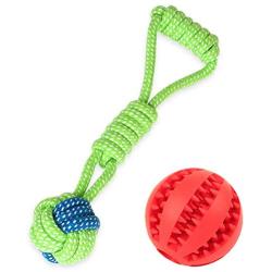 Skylety 4 Pieces Dog Ball on a Rope Training Ball Dog Toy Interactive Dog  Ball on a String Reward and Exercise Toy for Small Medium Large Dog