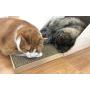Pawmosa Cat Scratcher, Vertical Cardboard Cats Scratching Post, Lounge Bed as Furniture Protector and Home Décor Include Free Catnip (Honey)