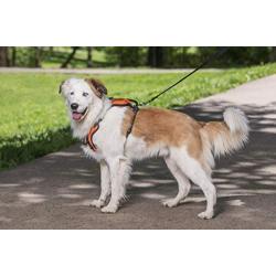 PetSafe Walk-Along Outdoor Dog Harness - Water-Resistant, Zipper Pouch for Storage, Reflective Accents, No-Pull, Top Handle - Orange and Black Colors - Small, Medium and Large Sizes