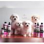 Petuxe 00220 Vegan Shampoo for Dogs and Pets, White Hair – 200 ml