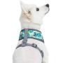 Blueberry Pet Essentials 2021 New 3 Patterns Camo Print/Bahamas Vacation Dog Harness Vests