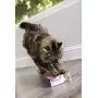 SmartyKat Super Scratcher Cat Scratcher SmartyKat Super Scratcher Cat Scratcher