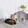 PAWISE Automatic Pet Feeder Food Dispenser with Timer for Cats and Dogs (1 Meal)