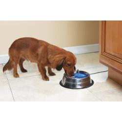 PetSafe Drinkwell Hy-Drate