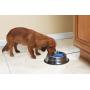 PetSafe Drinkwell Hy-Drate