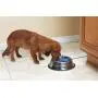 PetSafe Drinkwell Hy-Drate PetSafe Drinkwell Hy-Drate