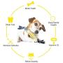 AmazeFan Extremely Bite Resistant Natural Rubber Dog Toothbrush Toys Dog Teeth Cleaning Chew Toys for Chewing/Teeth Cleaning (Suitable for Small Medium Large Dogs)