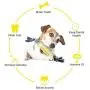 AmazeFan Extremely Bite Resistant Natural Rubber Dog Toothbrush Toys Dog Teeth Cleaning Chew Toys for Chewing/Teeth Cleaning (Suitable for Small Medium Large Dogs)