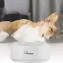 SKYMEE Smart Digital Feeding Pet Bowl Accurate Weight with LCD Display Waterproof for Dog Cat Food Water Washable Feeder SKYMEE Smart Digital Feeding Pet Bowl Accurate Weight with LCD Display Waterproof for Dog Cat Food Water Washable Feeder