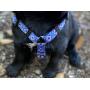No Pull Multi-Point Adjustable No Escape Dog Harness by Fearless Pet Front Clip Back Clip Dog Harness (Blue Aztec, Small (14-20'' Girth))