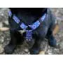 No Pull Multi-Point Adjustable No Escape Dog Harness by Fearless Pet Front Clip Back Clip Dog Harness (Blue Aztec, Small (14-20'' Girth)) No Pull Multi-Point Adjustable No Escape Dog Harness by Fearless Pet Front Clip Back Clip Dog Harness (Blue Aztec, Small (14-20'' Girth))