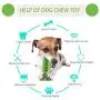 PETHOBBY Green Dog Chew Toy with Rubber Sucker,Natural Rubber Dog Toothbrush Stick with Dental Care,Squeaky Dog Toys for Medium and Large Dogs(15-70 lb) PETHOBBY Green Dog Chew Toy with Rubber Sucker,Natural Rubber Dog Toothbrush Stick with Dental Care,Squeaky Dog Toys for Medium and Large Dogs(15-70 lb)
