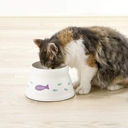 Richell Raised Cat Bowl Extra Small