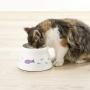 Richell Raised Cat Bowl Extra Small