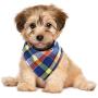 12 Pieces Dog Bandanas - Triangle Dog Scarf, Washable Reversible Printing, Bibs Dog Kerchief Set, Suitable for Small or Medium-Sized Cat and Dog Pets