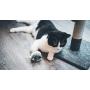 Aime Vibrating Mouse Cat Toy Fun and Interactive Game