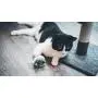 Aime Vibrating Mouse Cat Toy Fun and Interactive Game Aime Vibrating Mouse Cat Toy Fun and Interactive Game