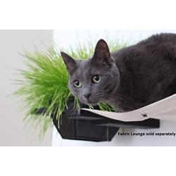 CatastrophiCreations Raised Planter for Cats Elevated Wall-Mounted Cat Grass Feeder for Pets or Decorative