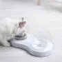 Love Dream Cat Bowls Elevated, Raised Cat Food Bowls with Stand, 0/20° Tilted Cat Food Water Bowl Stress-Free Suit for Cats Small Dogs Love Dream Cat Bowls Elevated, Raised Cat Food Bowls with Stand, 0/20° Tilted Cat Food Water Bowl Stress-Free Suit for Cats Small Dogs