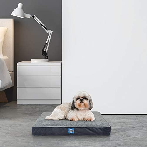 Sealy Ultra Plush Dog Bed with Orthopedic Foam and Washable Cover, Multiple Sizes