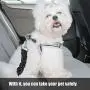 3 Pieces Dog Seat Belt Harness Dog Seat Belt Adjustable Elastic Pet Dog Car Seatbelt Vehicle Car Seatbelt Harness for Pets with Elastic Nylon Bungee Buffer for Shock Attenuation 3 Pieces Dog Seat Belt Harness Dog Seat Belt Adjustable Elastic Pet Dog Car Seatbelt Vehicle Car Seatbelt Harness for Pets with Elastic Nylon Bungee Buffer for Shock Attenuation