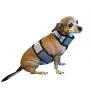 CoolerDog Dog Cooling Vest and Cooling Collar - Ice Vest for Dogs