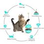 AMONE Tumbler Double Track Ball Interactive Cat Toy Kitty Toys Cat Dancers Cat Toys Ball Slow Feeders for for Indoor Cats