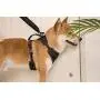 No Pull Choke Front Lead Reflective Weighted Dog Vest Harness with 2 Leash Clips, Black Adjustable Soft Padded Dog Harness with Easy Control Handle for Small Medium and Large Dogs No Pull Choke Front Lead Reflective Weighted Dog Vest Harness with 2 Leash Clips, Black Adjustable Soft Padded Dog Harness with Easy Control Handle for Small Medium and Large Dogs