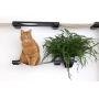CatastrophiCreations Mini Garden - Multiple Level Cat Hammock and Climbing Activity Center - Wall-Mounted Cat Tree Shelves