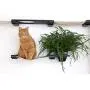 CatastrophiCreations Mini Garden - Multiple Level Cat Hammock and Climbing Activity Center - Wall-Mounted Cat Tree Shelves CatastrophiCreations Mini Garden - Multiple Level Cat Hammock and Climbing Activity Center - Wall-Mounted Cat Tree Shelves