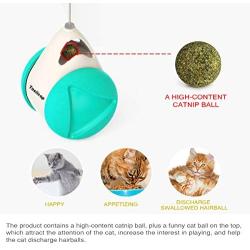 Interactive Cat Toys with Catnip Ball 2 Pack Pet Balance Swing car Balanced Cat Toy for Indoor Cats Rotating Rolling Balls for Cat/Kitten Pet Entertainment Hunting Exercise