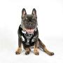 Puppia Prancer Harness A