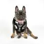 Puppia Prancer Harness A Puppia Prancer Harness A