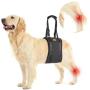 Dog Lift Harness Pet Sling Support - Dog Lifting Harness Vest for Rear Legs with Reflective Band Adjustable Straps Detachable Fleece for Medium Large Dogs All Season Available