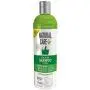 Natural Care Flea and Tick Dog Shampoo | Flea Treatment for Dogs | Flea Killer with Certified Natural Oils | 12 Ounces