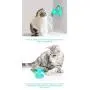 DOITPE Windmill Cat Toy Turntable Teasing Pet Toy Scratching Tickle Cats Hair Brush Funny DOITPE Windmill Cat Toy Turntable Teasing Pet Toy Scratching Tickle Cats Hair Brush Funny