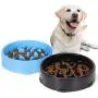 JASGOOD Slow Feeder Dog Bowl New Arriving Slow Feeding Interactive Bloat Stop Dog Bowls JASGOOD Slow Feeder Dog Bowl New Arriving Slow Feeding Interactive Bloat Stop Dog Bowls