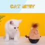 LKOAYRZ Cat Catnip Toys Interactive Chew Toy Squid Tumbler Design Bite Resistant for Teething with Catnip and Soft Cotton Filling