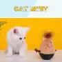 LKOAYRZ Cat Catnip Toys Interactive Chew Toy Squid Tumbler Design Bite Resistant for Teething with Catnip and Soft Cotton Filling LKOAYRZ Cat Catnip Toys Interactive Chew Toy Squid Tumbler Design Bite Resistant for Teething with Catnip and Soft Cotton Filling