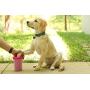 Dexas MudBuster Portable Dog Paw Washer/ Paw Cleaner
